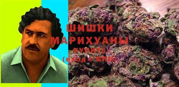 индика Абаза