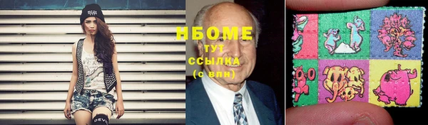 индика Абаза