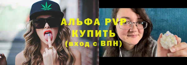 ГАЛЛЮЦИНОГЕННЫЕ ГРИБЫ Няндома