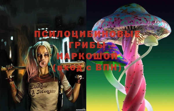 молекула духа Алексеевка