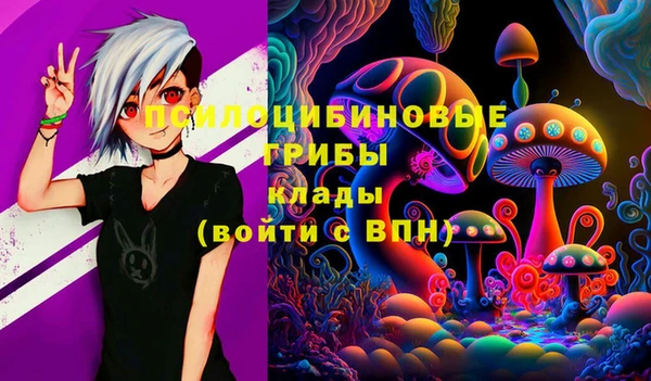 индика Абаза