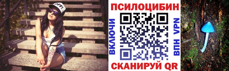 Псилоцибиновые грибы мицелий  Заводоуковск 